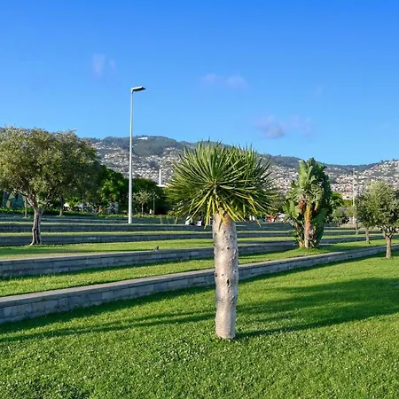 Beco Santa Emilia 4q, A In Madeira Apartament Funchal (Madeira)